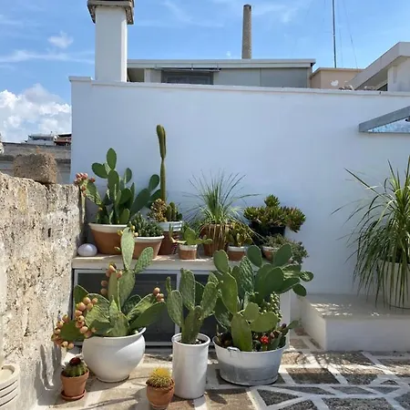 Apartment Casa Antica Bella Vista - Matino